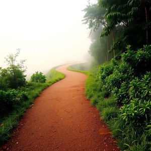Start Your English Journey The journey of a thousand miles begins with a single step