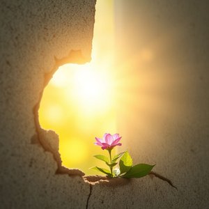 Desbloquea tu fluidez en inglés: Explicación de The wound is the place where the Light enters you