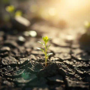Fluência em Inglês: Significado de Although the world is full of suffering, it is also full of the overcoming of it.