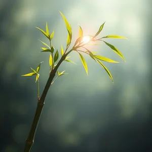 Mở khóa Sự kiên cường: Hiểu về The human capacity for burden is like bamboo – far more flexible than you'd ever believe at first glance.