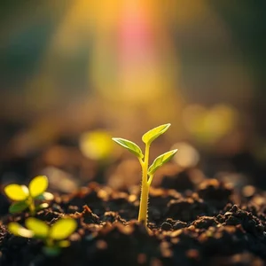 Your Life Gets Better by Change: Mastering English & Growth