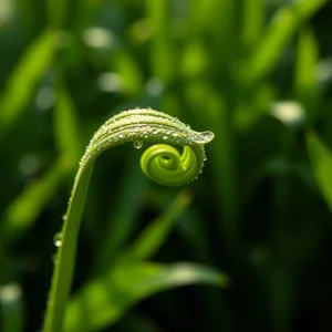 Every Moment is a Fresh Beginning: Learn English & Embrace New Starts